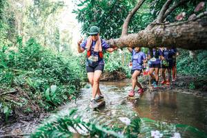 BIB: 
                            <button type="button" onclick="openModal(25515878)" class="btn btn-primary btn-sm float-right btn-popup" data-toggle="modal" data-target=".modal-high-quality">
                        <i class="fas fa-shopping-cart"></i> Add to Cart
                    </button>
                                            <button type="button" onclick="isThisMe(25515878, true)" class="btn btn-success btn-sm float-right btn-popup btn-isme hidden" data-toggle="tooltip" data-placement="bottom" title="นี่คือรูปของคุณใช่ไหม คลิกที่นี่เพื่อเอาเข้าอัลบั้ม">
                        <i class="fas fa-plus"></i> Add to album
                    </button>
                    <button type="button" onclick="isThisMe(25515878, false)" class="btn btn-warning btn-sm float-right btn-popup btn-isnotme hidden">
                        <i class="fas fa-ban"></i> Remove from album
                    </button>